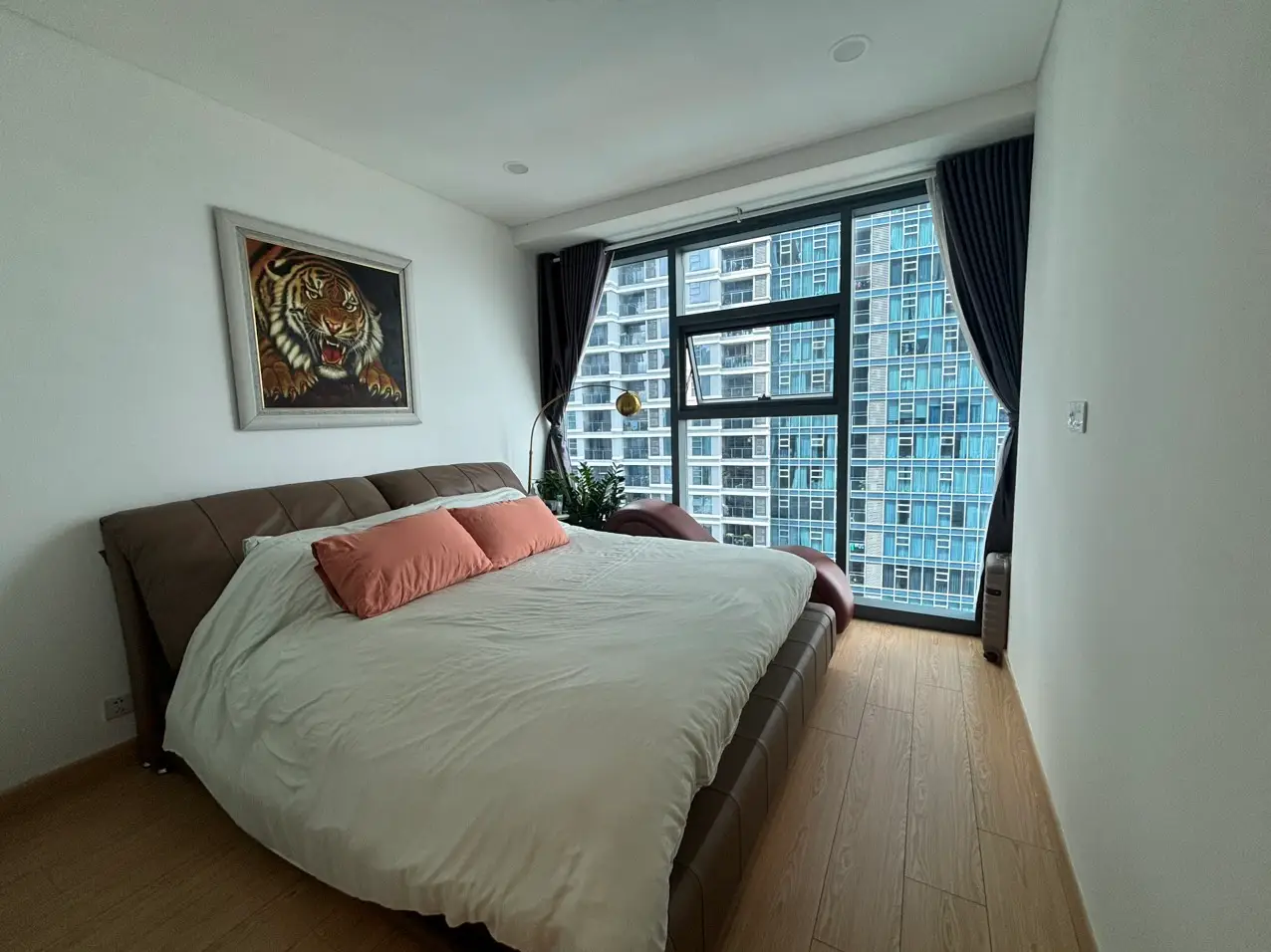 z5745647099067_24ee6455bda13e725e1027730566b145