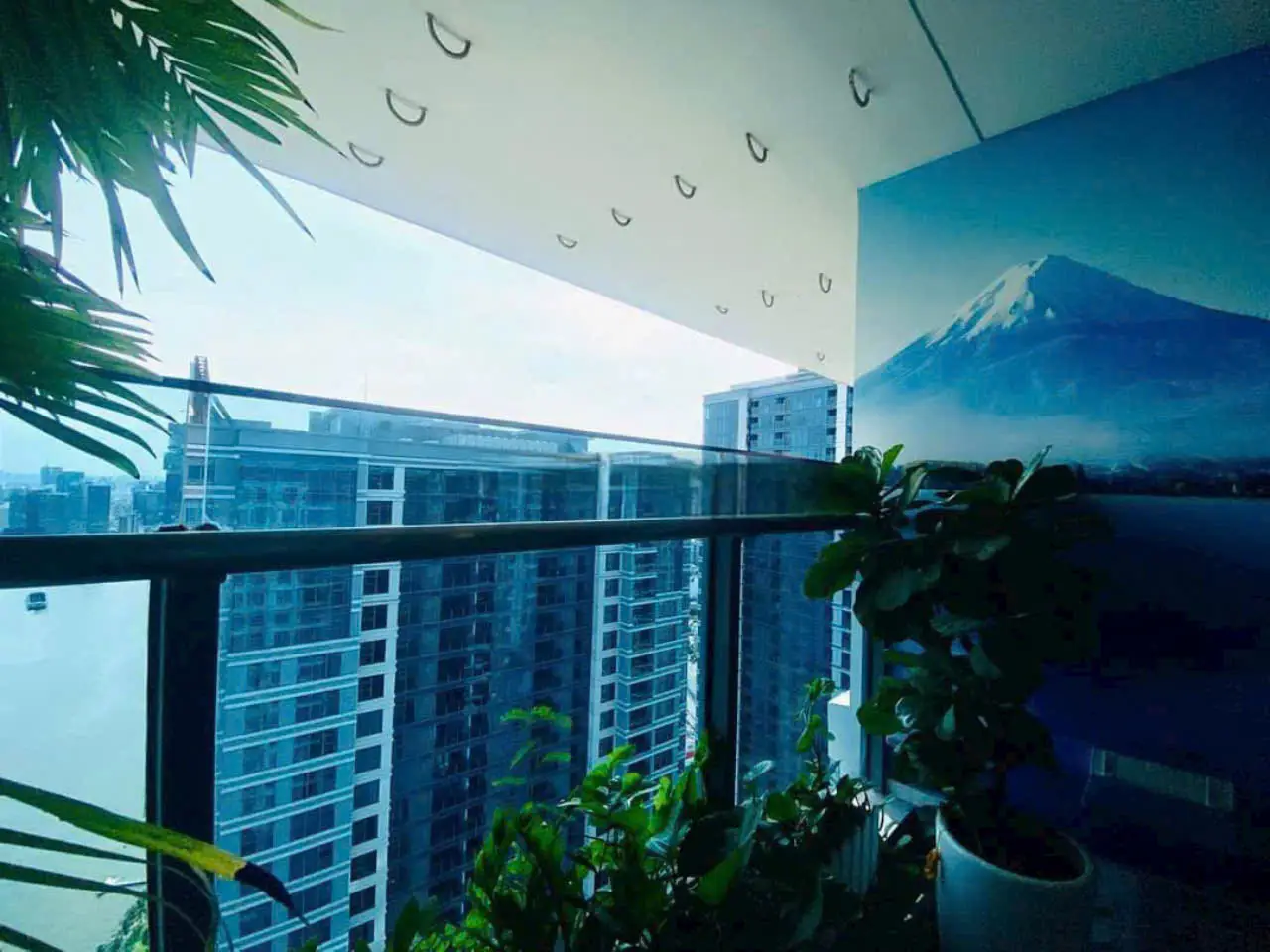 z5963256394840_e3a2896baf018303d698ed160dbaf9dc